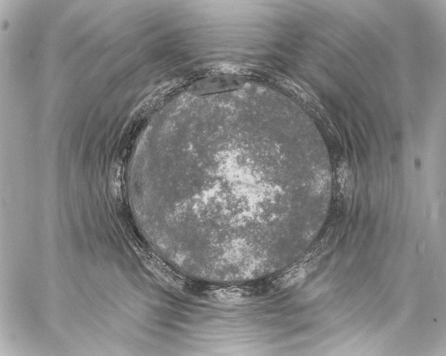 X0000057070423200510071437