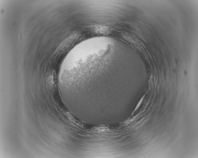 X0000057070424200510071437