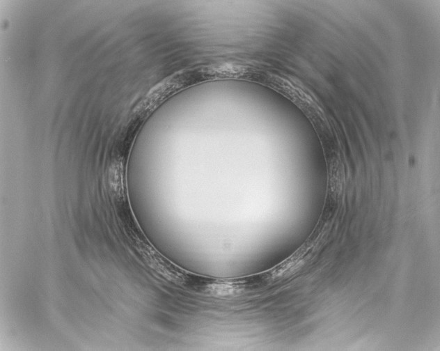 X0000057070425200510071437