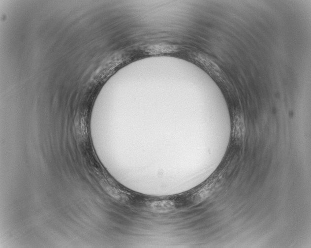 X0000057070426200510071437