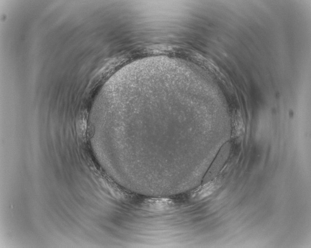 X0000057070427200510071437