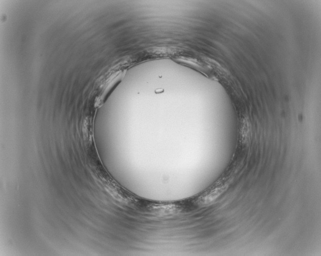 X0000057070428200510071437