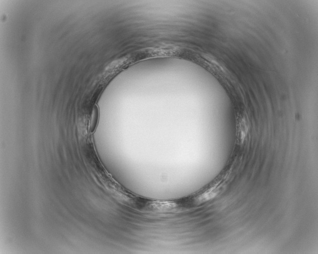 X0000057070429200510071437