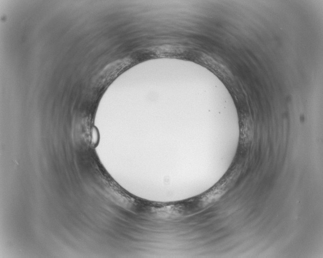 X0000057070430200510071437