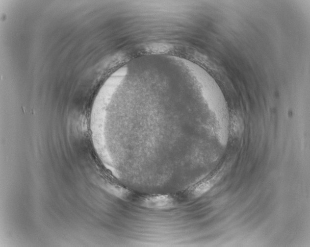 X0000057070431200510071437