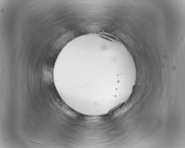 X0000057070432200510071437