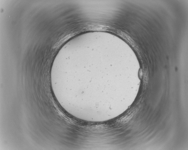 X0000057070433200510071436