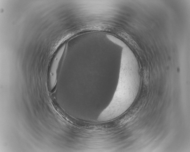 X0000057070434200510071436