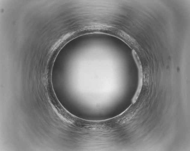 X0000057070436200510071436