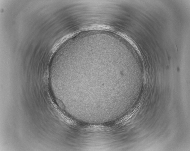 X0000057070437200510071436