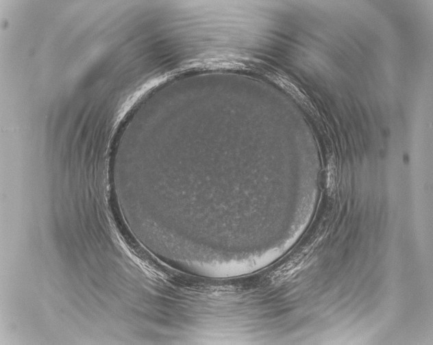 X0000057070438200510071437