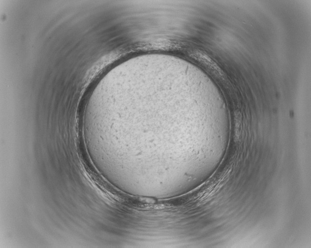 X0000057070439200510071437