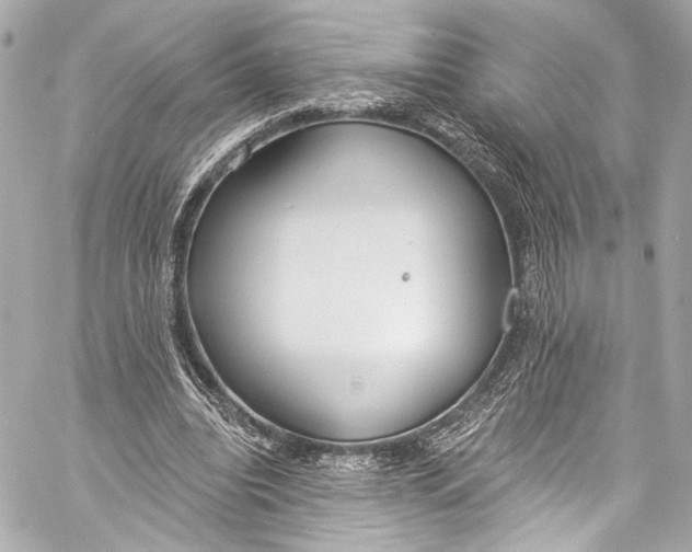 X0000057070440200510071437