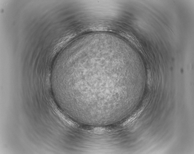 X0000057070441200510071437