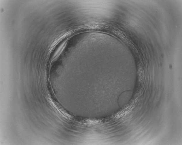 X0000057070442200510071437