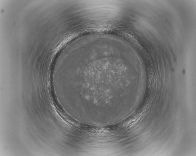 X0000057070443200510071437