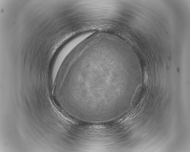 X0000057070444200510071437