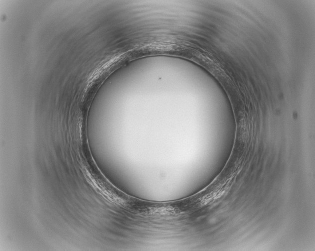 X0000057070446200510071437