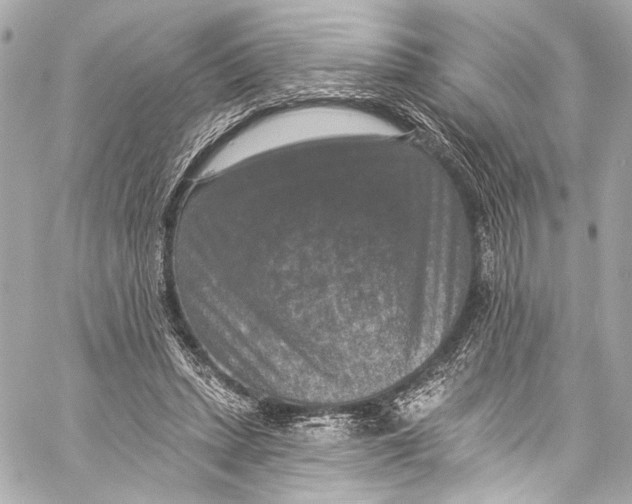 X0000057070447200510071437