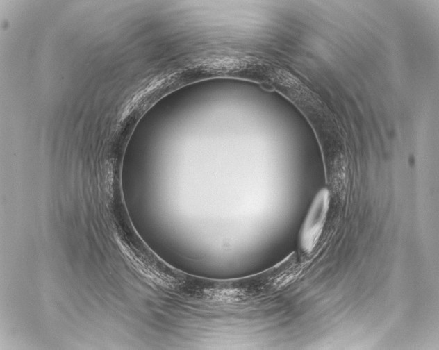 X0000057070448200510071437