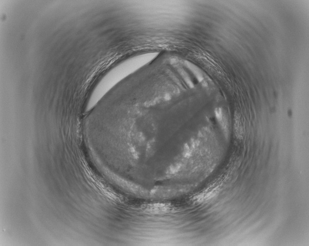 X0000057070449200510071437