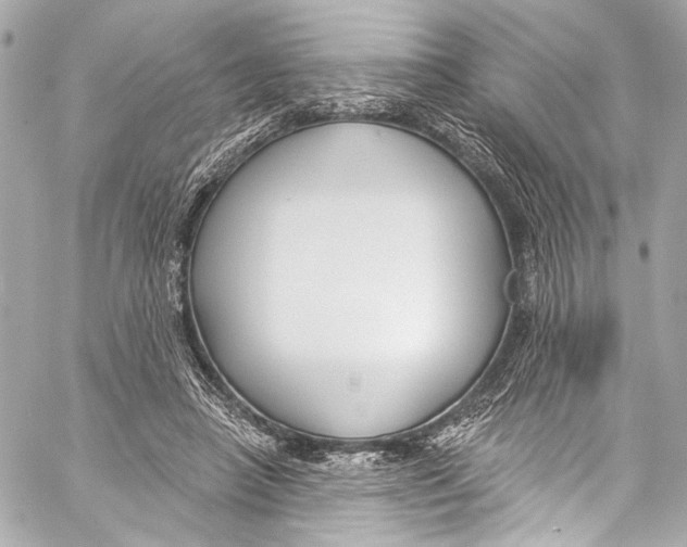 X0000057070450200510071437