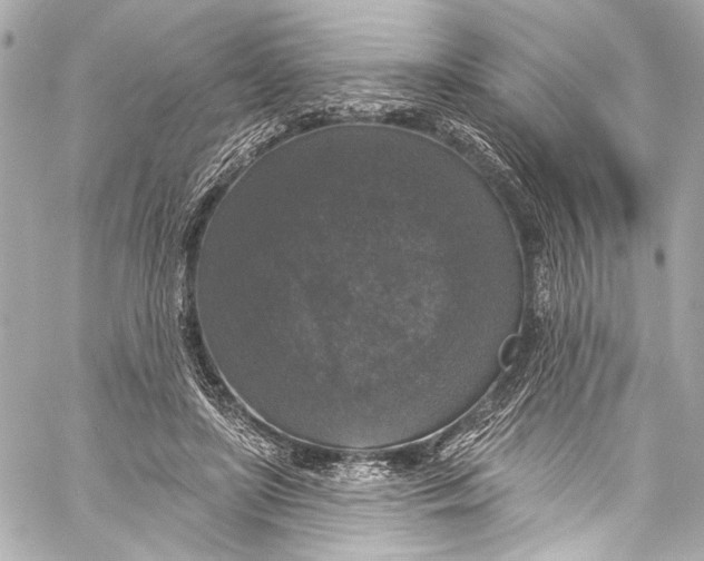 X0000057070451200510071437