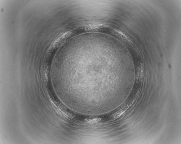 X0000057070452200510071437