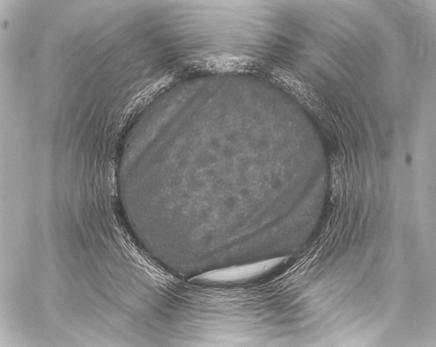 X0000057070453200510071437