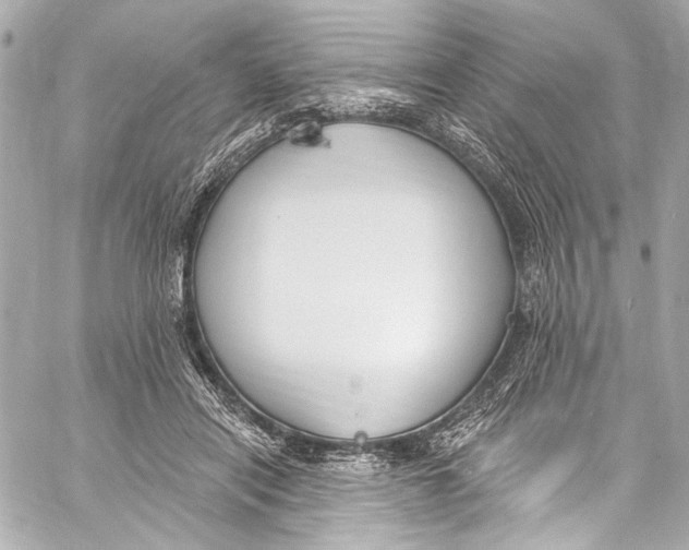 X0000057070454200510071437