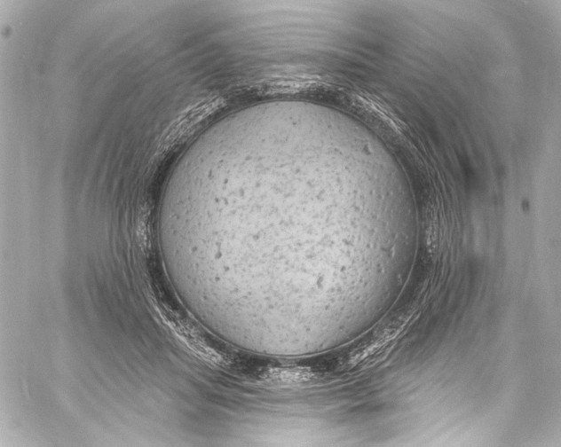 X0000057070455200510071437