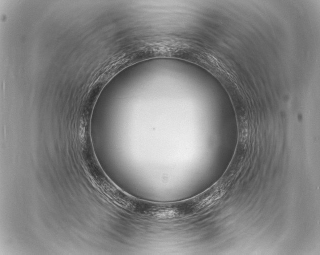 X0000057070456200510071437