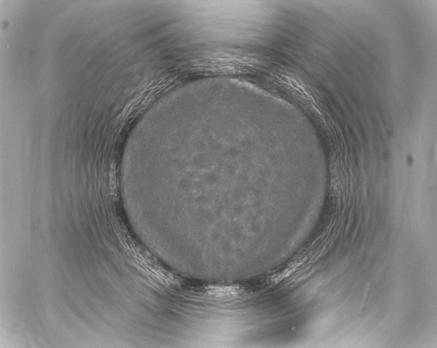 X0000057070457200510071437