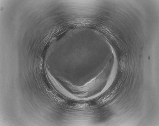 X0000057070458200510071437