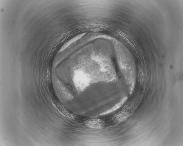 X0000057070459200510071437