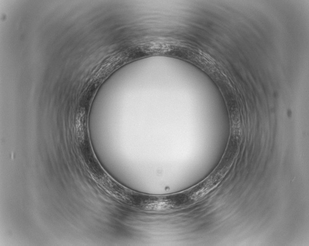 X0000057070460200510071437