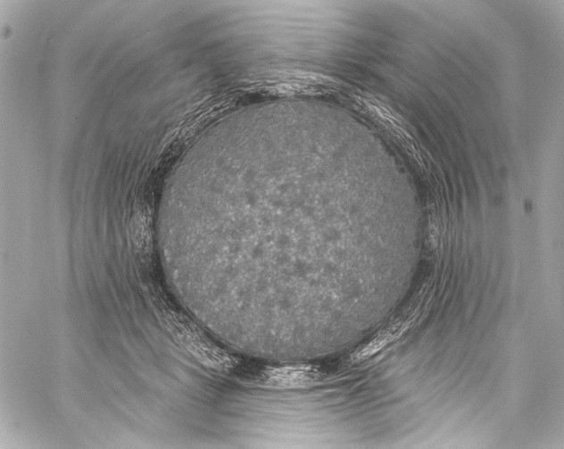 X0000057070461200510071437