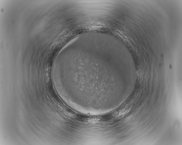 X0000057070462200510071437