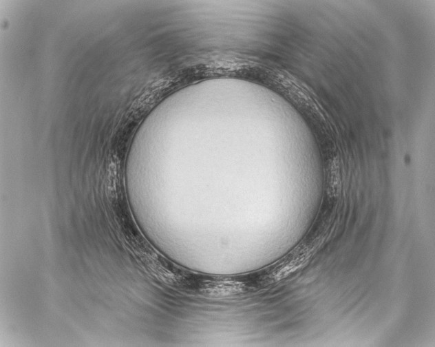 X0000057070463200510071437