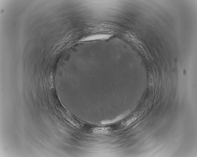 X0000057070465200510071437