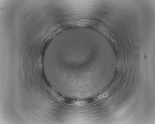 X0000057070466200510071437