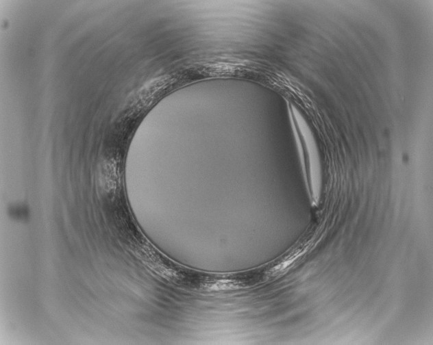 X0000057070467200510071437