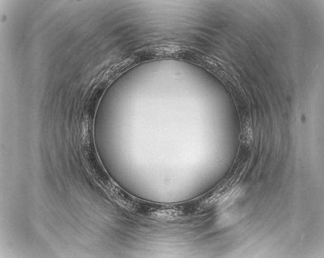 X0000057070468200510071437