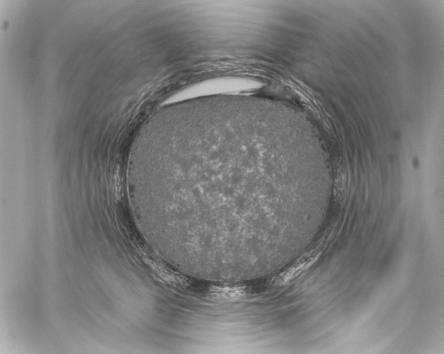 X0000057070469200510071437