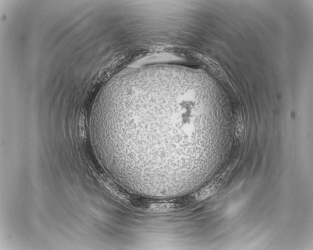 X0000057070470200510071437