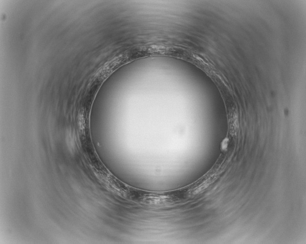 X0000057070472200510071437