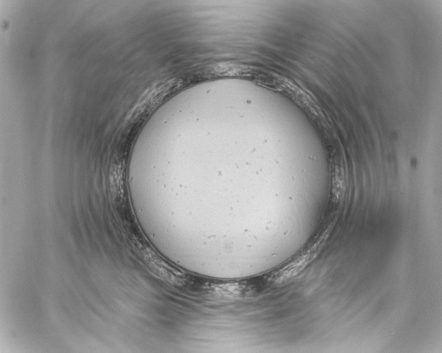 X0000057070473200510071437