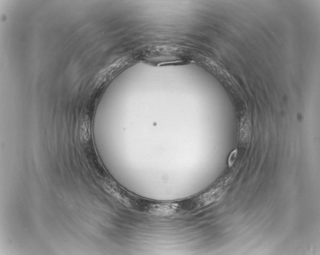 X0000057070474200510071437