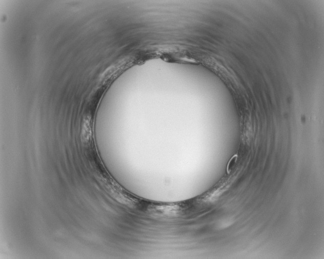 X0000057070478200510071437