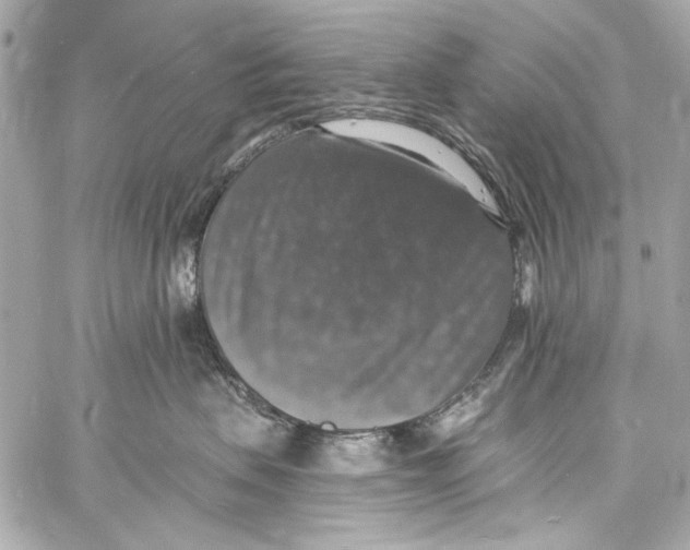 X0000057070479200510071437